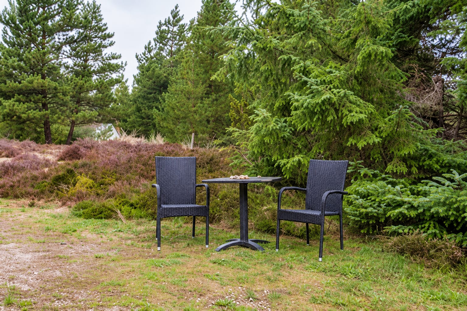 Ansicht des Ferienhauses und seiner Umgebung · Møllehusvej 64