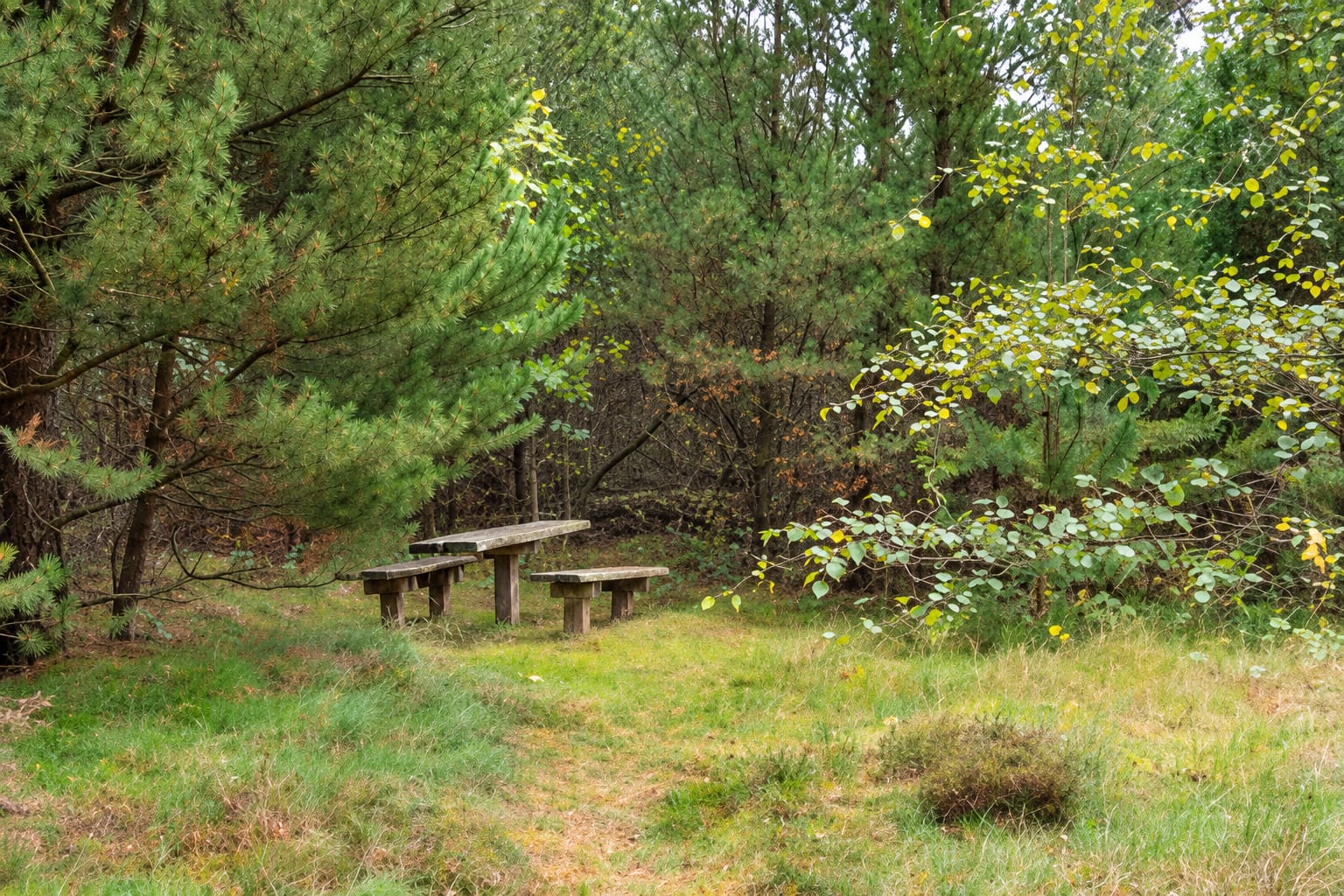 Ansicht des Ferienhauses und seiner Umgebung · Møllehusvej 64